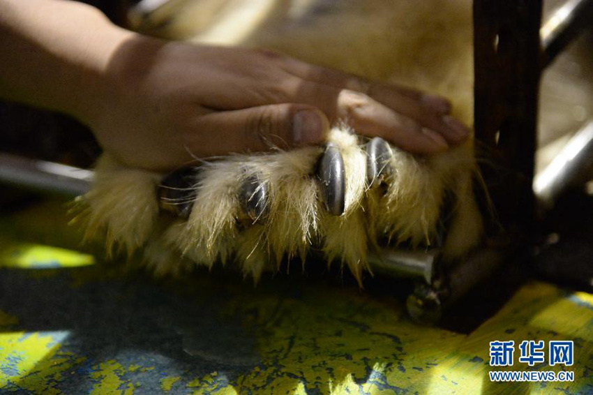 ???? ?? ??? ???? ??? ??? ???