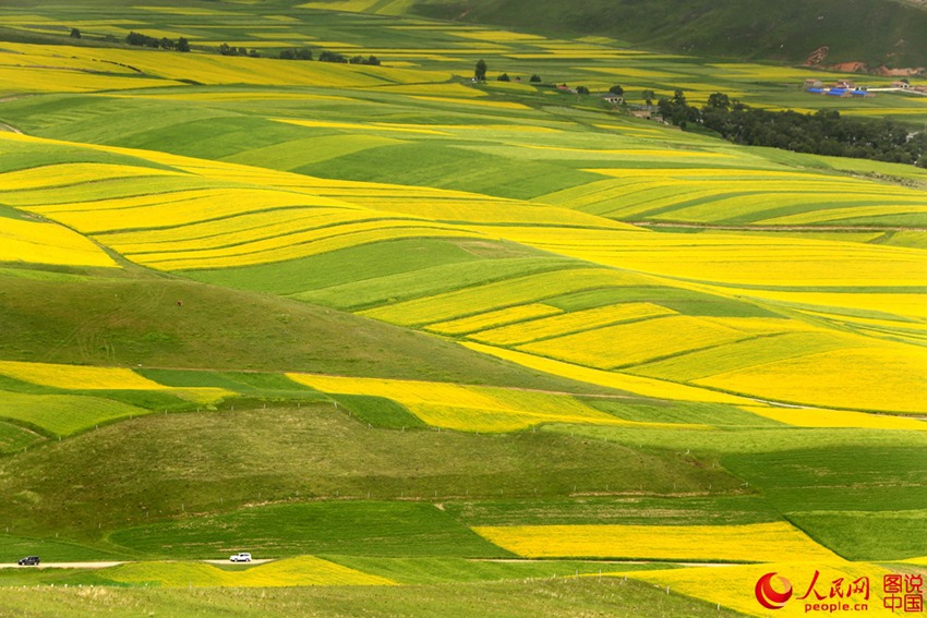 ???? ?? ??? ?? ??? ???? ??