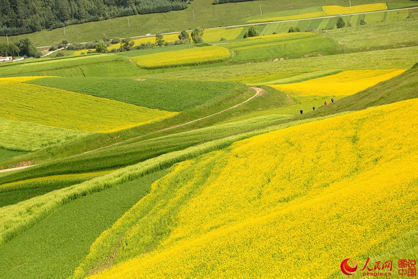 ???? ?? ??? ?? ??? ???? ??