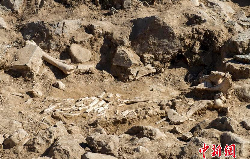 ?? ???? ??? 2?? ? ??? ??