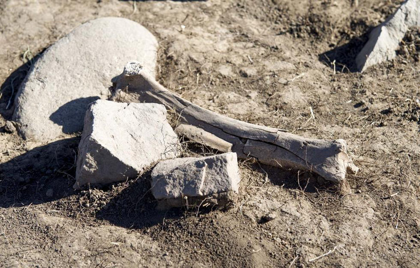 ?? ???? ??? 2?? ? ??? ??