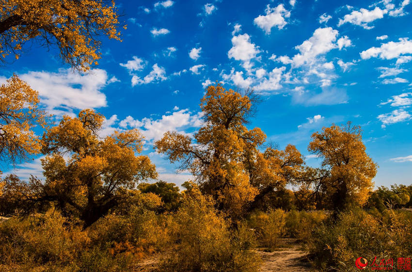 ???? 3000? ??? ??? ???, ??? ??