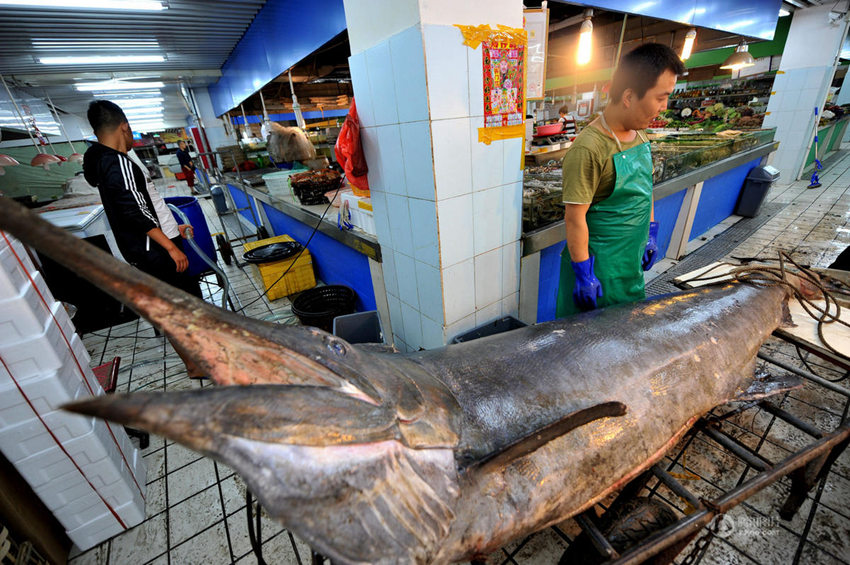 ??? ?? ??? ? ??, 345kg ??? ??? ??