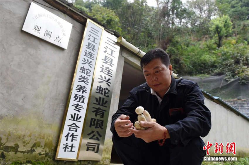 40? ??? ?? ??, ? ???? ???? ??