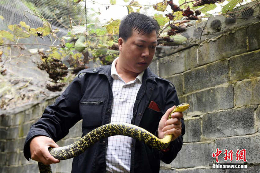 40? ??? ?? ??, ? ???? ???? ??