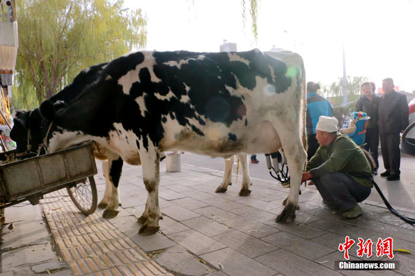 ?? ???? ? ? ?? ??…??? ? ?? ??