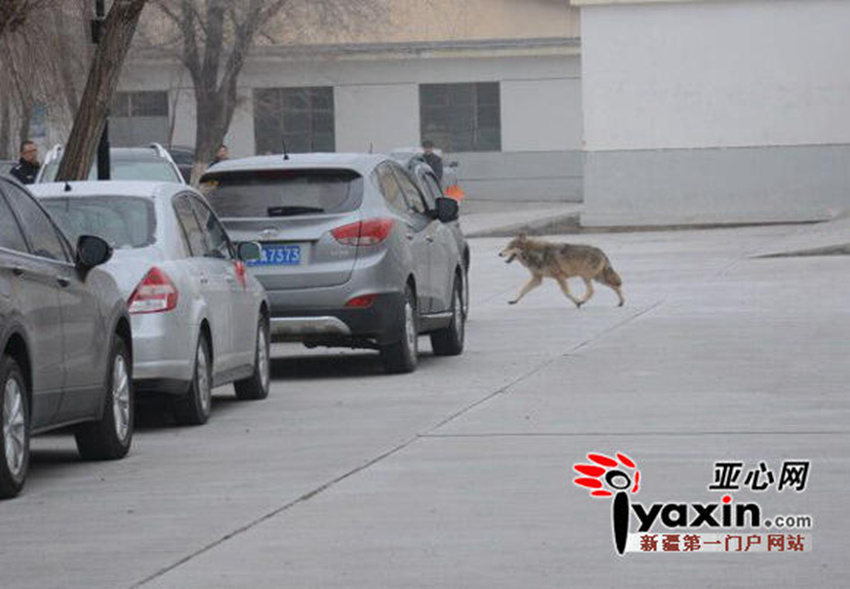 ?? ????? ?? ?? ??, 1?? ?? ??