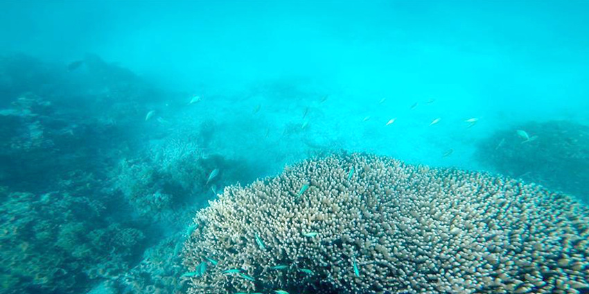 ???? ??? ???? ??? ???(七連嶼) ??