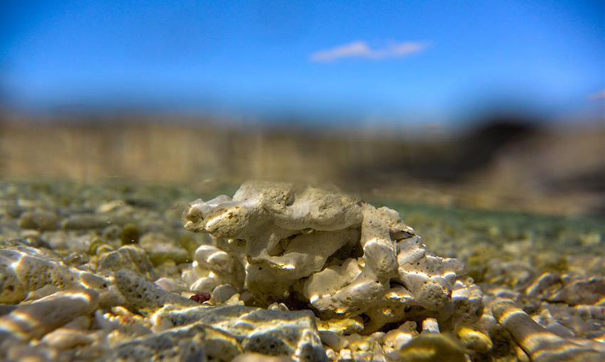 ???? ??? ???? ??? ???(七連嶼) ??