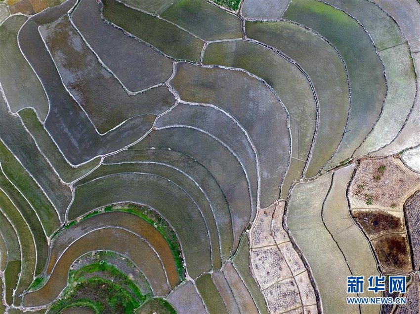 3? 23? ?? ??? ???(百色)? ??(右江)? ??(汪甸) ?? ??? ????.