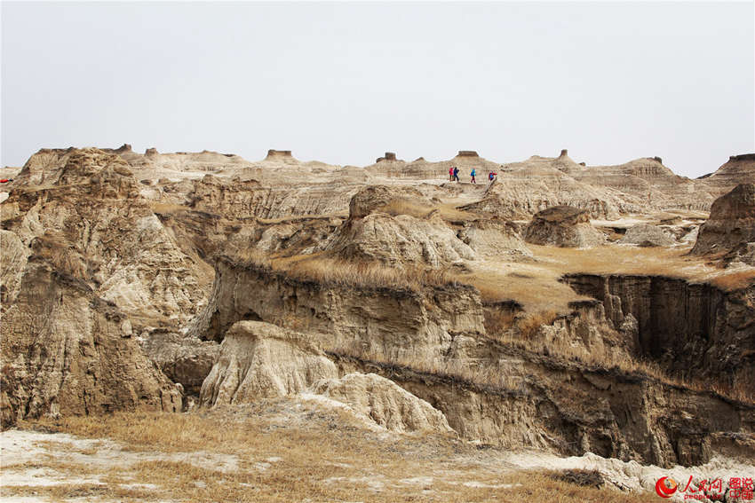 ?? ??, ?? ?? ?? ???? ‘?? ?’