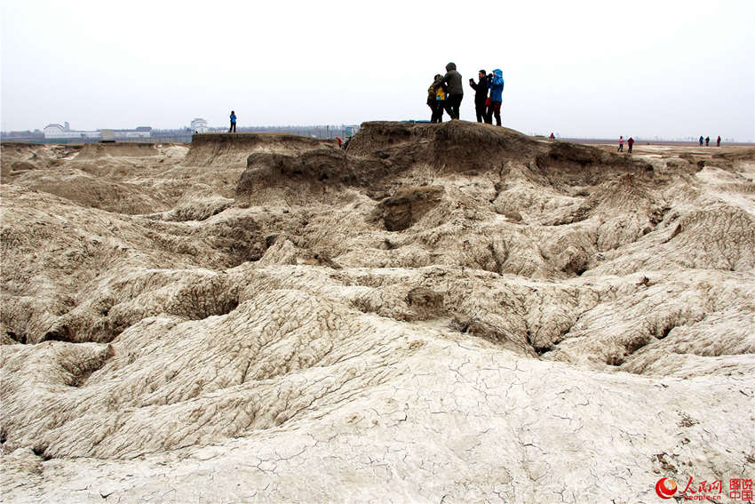 ?? ??, ?? ?? ?? ???? ‘?? ?’