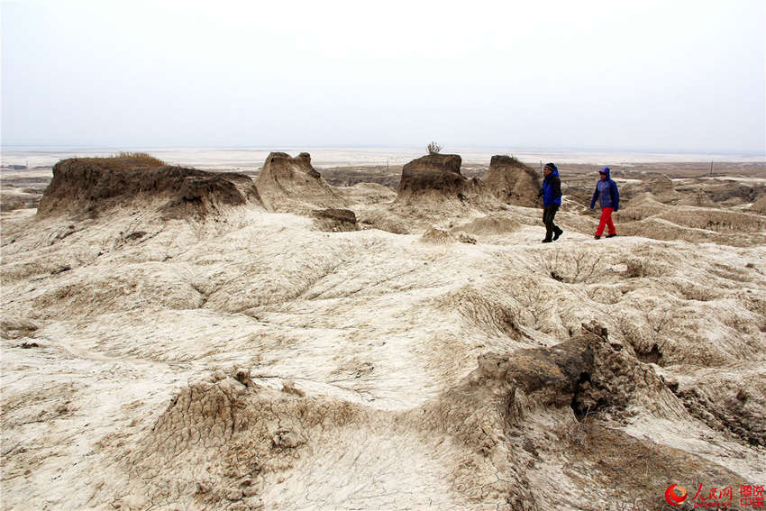 ?? ??, ?? ?? ?? ???? ‘?? ?’