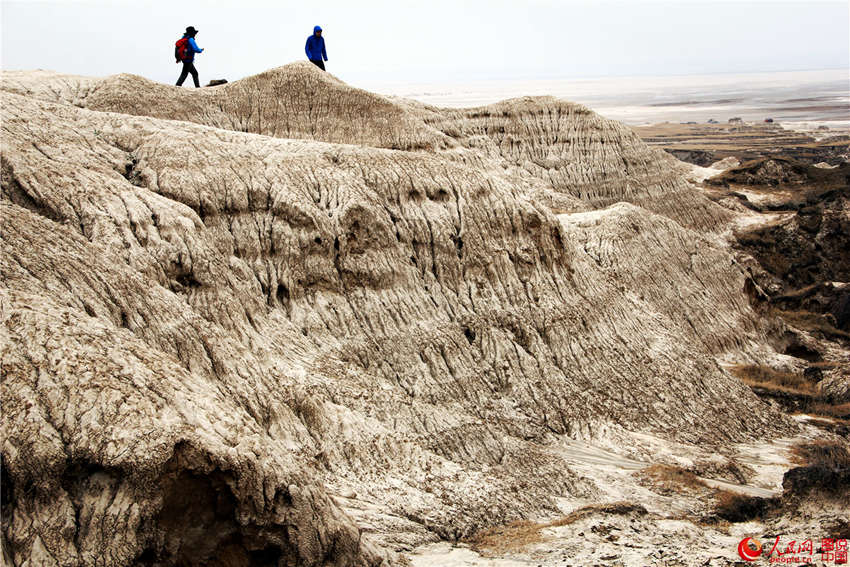 ?? ??, ?? ?? ?? ???? ‘?? ?’