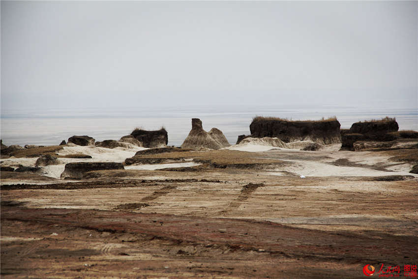 ?? ??, ?? ?? ?? ???? ‘?? ?’