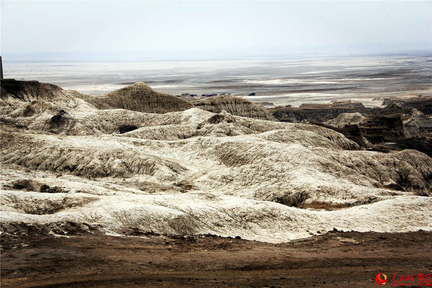 ?? ??, ?? ?? ?? ???? ‘?? ?’