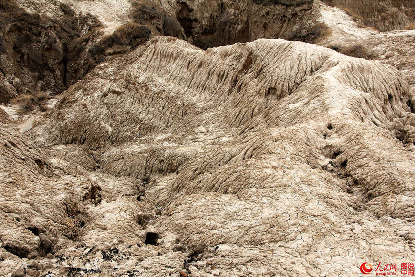 ?? ??, ?? ?? ?? ???? ‘?? ?’