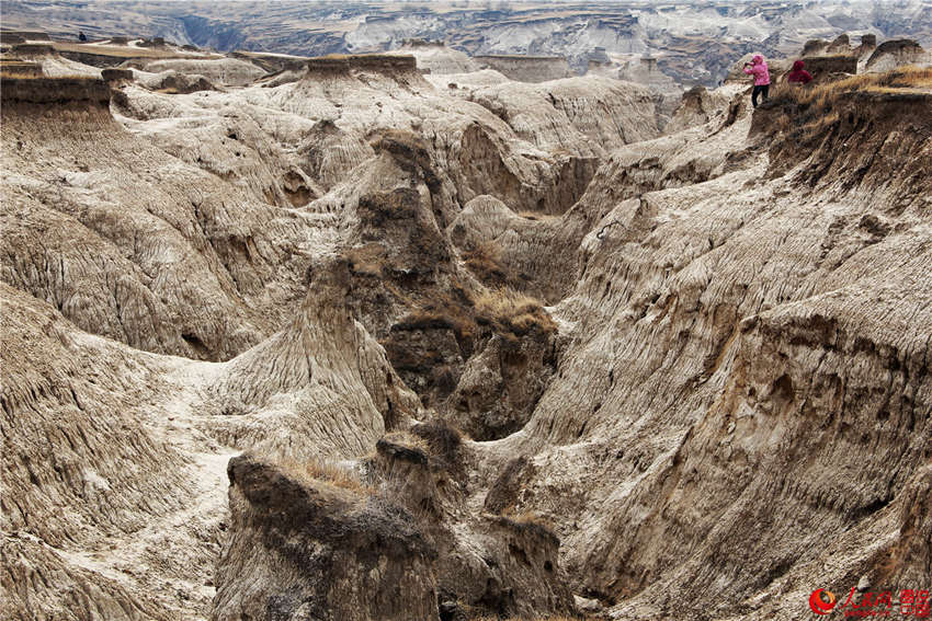 ?? ??, ?? ?? ?? ???? ‘?? ?’