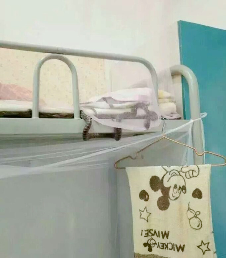 ??? ???? ?? ??? ?, ??? ???!