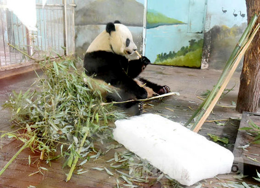 ???? ?? ??？ ?? ??, ??? ???