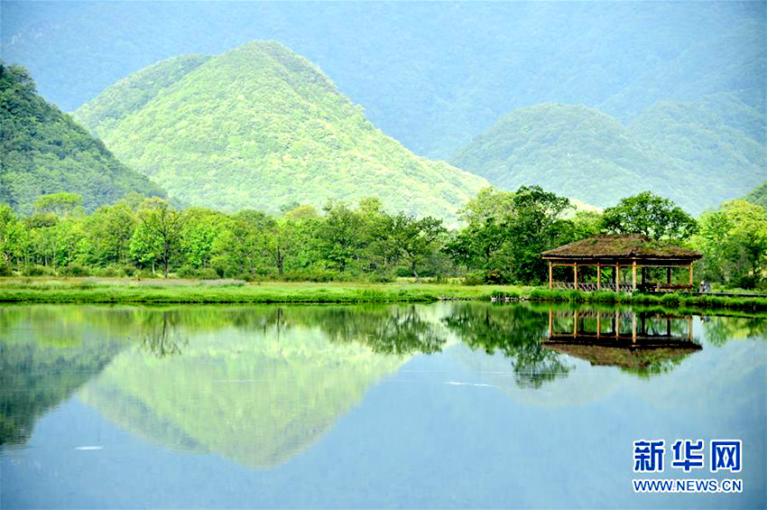 ???(神農(nóng)架)???(大九湖)