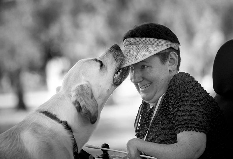 ???? ??? ???, ?????!