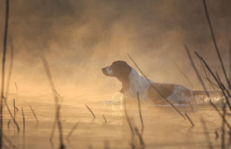 ???? ??? ???, ?????!