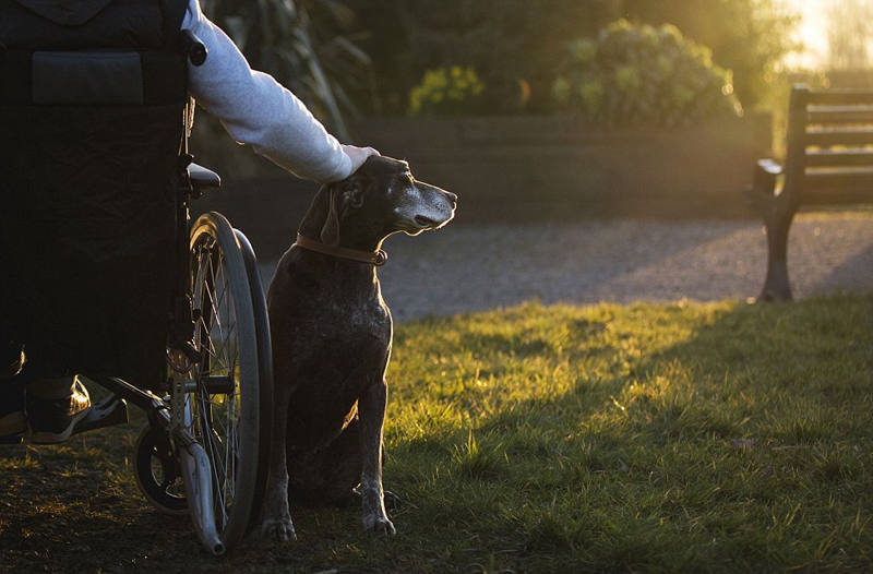 ???? ??? ???, ?????!