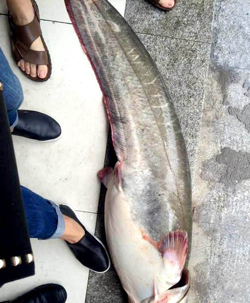 ?? ??? ??, ? ??? ?? ????