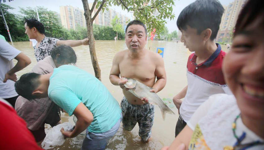 ?? ??? ??, ? ??? ?? ????