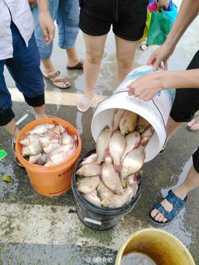 ?? ??? ??, ? ??? ?? ????