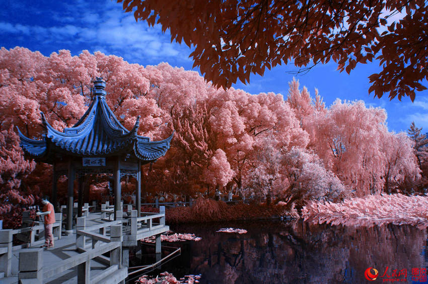 ??? ???? ??? ???, ?? ?? ??