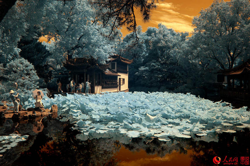 ??? ???? ??? ???, ?? ?? ??