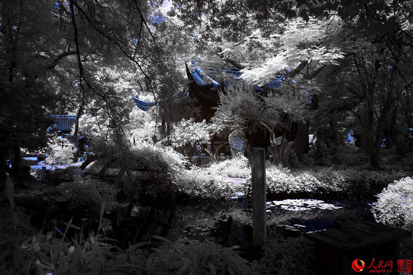 ??? ???? ??? ???, ?? ?? ??