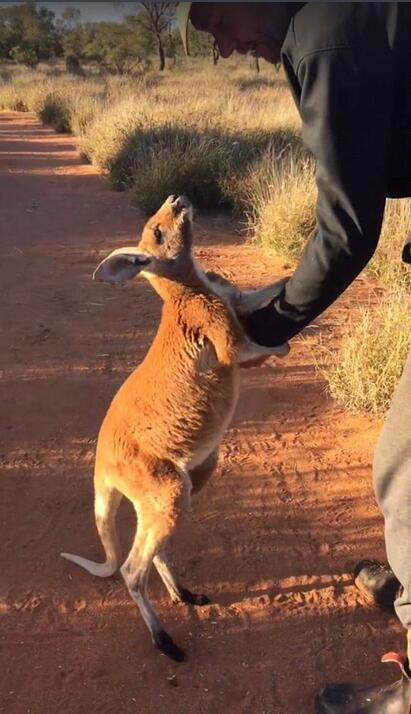 ?? ????? ??? ?? ??? ?? ??? ??