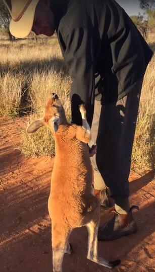 ?? ????? ??? ?? ??? ?? ??? ??