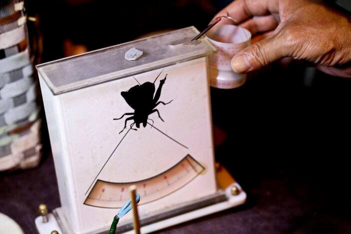 ‘???? ??’ ???? ??, ?? ?? ??