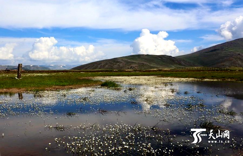 ?? ?????? 15m ?? ??, ??? ?? ??