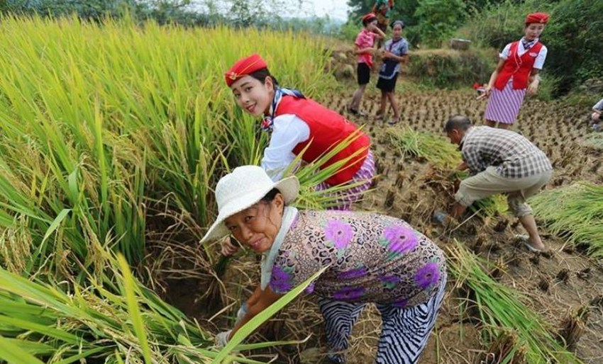 ?? ?? ?? ?? ? ?? ?????