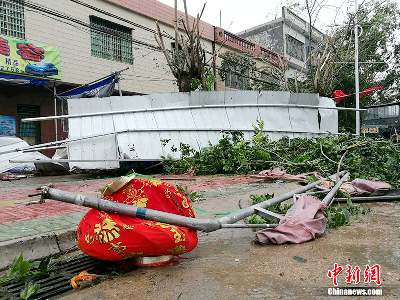 ?? ‘???’ ??? ??, 11? ?? ?? ?? ????