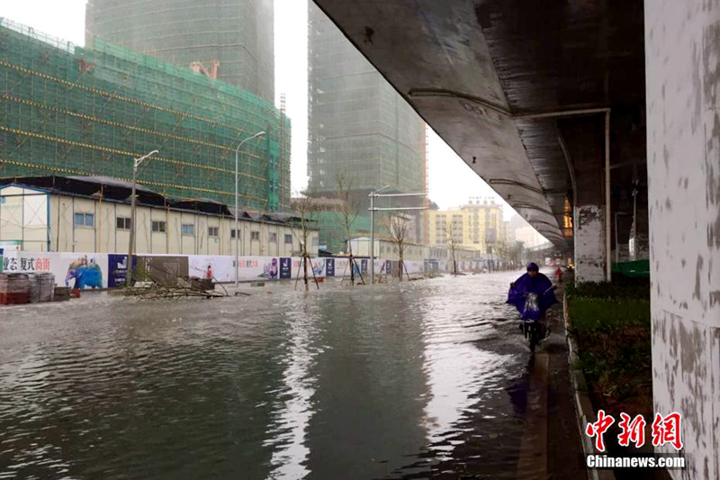 ?? ‘???’ ??? ??, 11? ?? ?? ?? ????