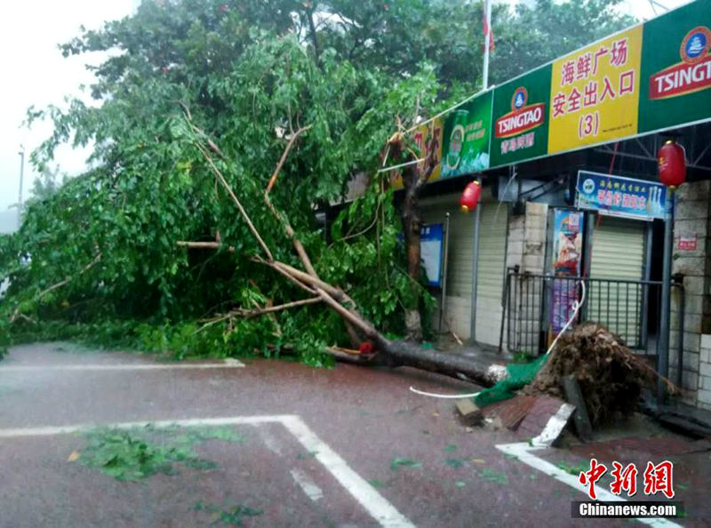 ?? ‘???’ ??? ??, 11? ?? ?? ?? ????