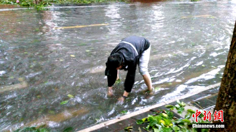 ?? ‘???’ ??? ??, 11? ?? ?? ?? ????