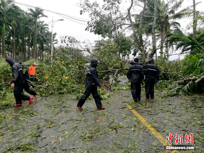 ?? ‘???’ ??? ??, 11? ?? ?? ?? ????