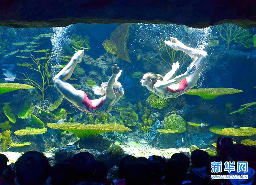 ?? ?? ????? ??? ??? ‘??’