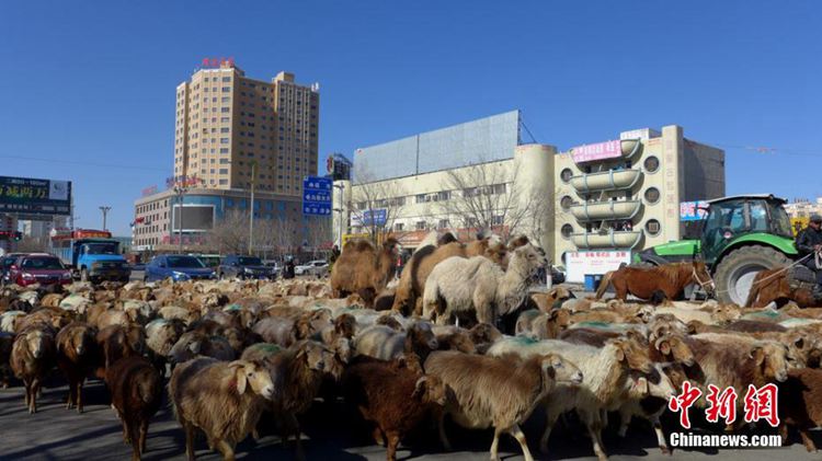 ?? ?? ????? ?? ???, ??? ??? ???? ?? ??