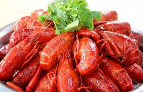 ??? ????? ??? ???! ??? ??? ?? ??? ‘?? ???’ ??