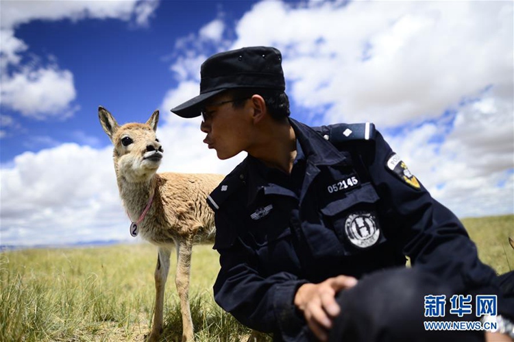 ??? ??? ??? ?? ??? ??, ???? ??? ‘????’