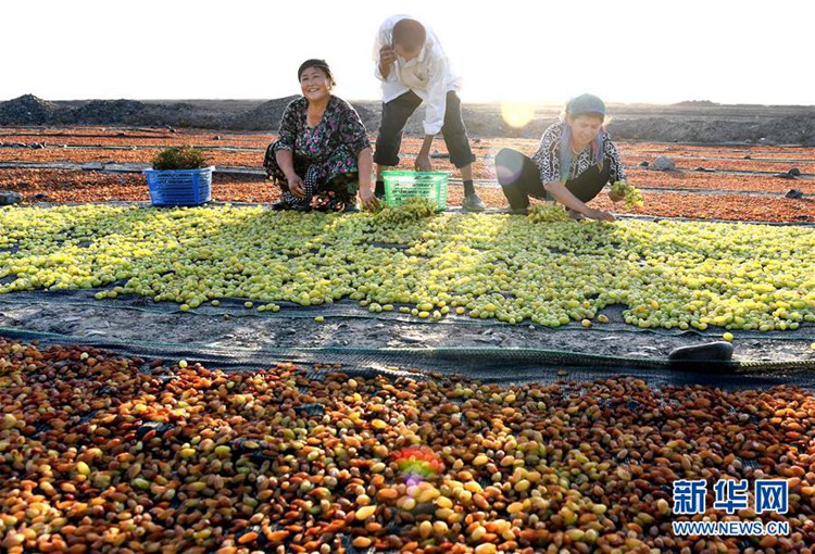 ?? ??? ?? ??? ?? ???? ??