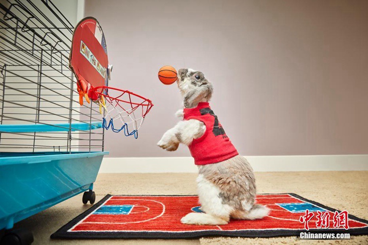 ???? 2018?? ??…‘?? ? ???’ ?? ?? ??